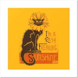 I'm A Ray Of Fucking Sunshine Cats Posters and Art